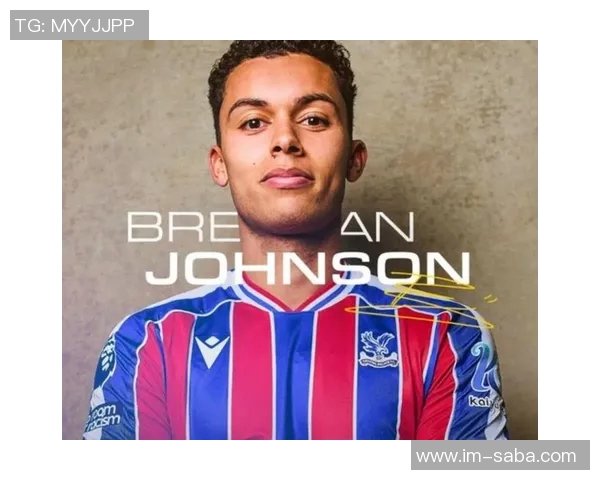 热刺前锋布伦南约翰逊以3350万镑转会水晶宫正式加盟